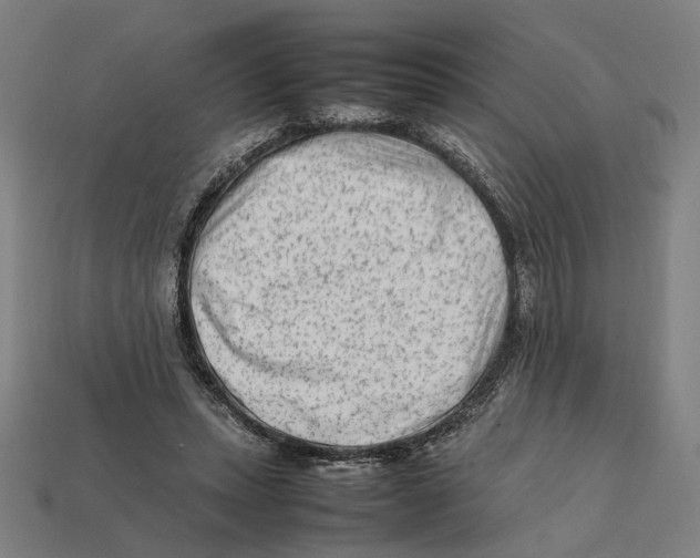 X0000112410447200909110953