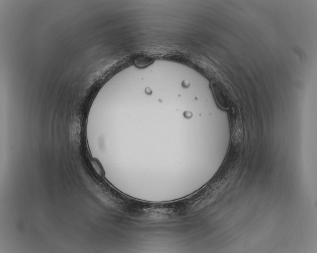 X0000112410448200909110953