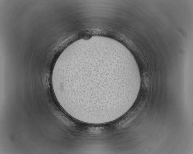 X0000112410450200909110953
