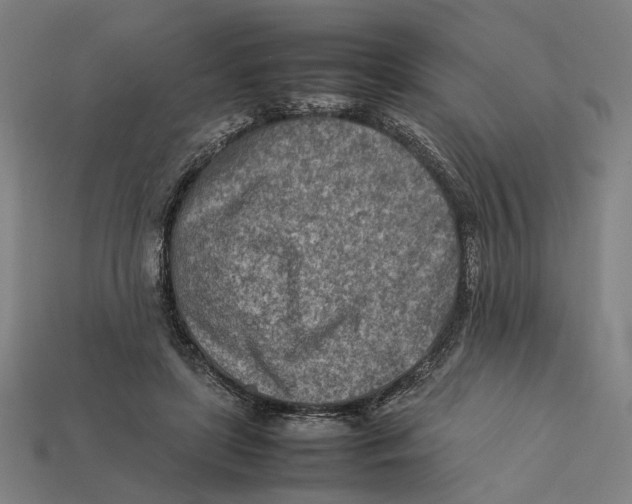 X0000112410451200909110953