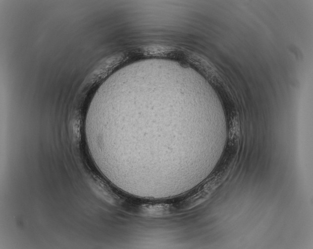 X0000112410452200909110953