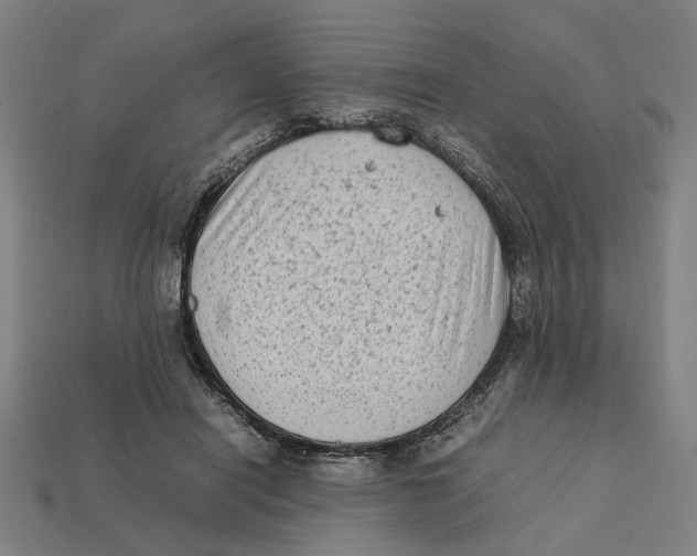 X0000112410454200909110953