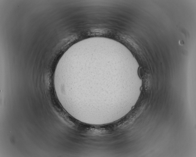 X0000112410455200909110953