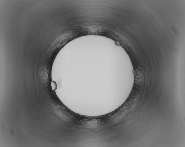 X0000112410456200909110953