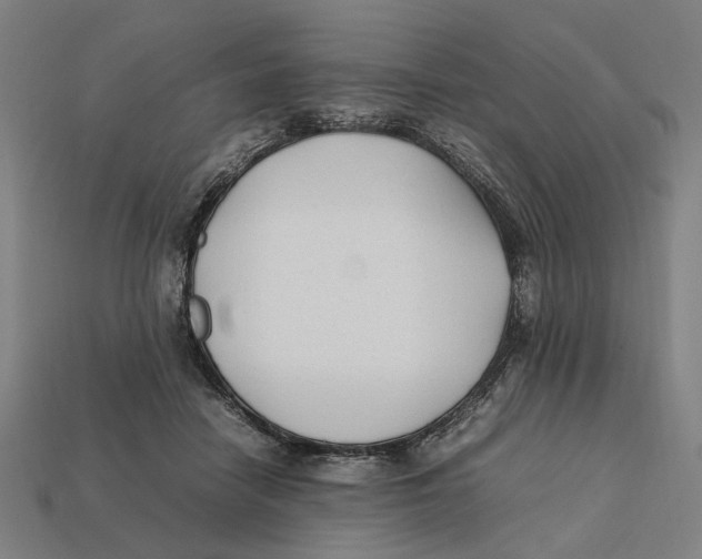 X0000112410458200909110953