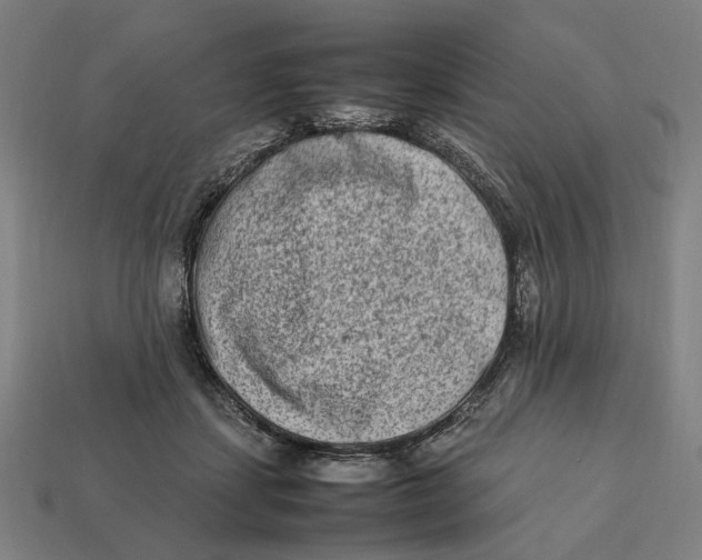X0000112410459200909110953