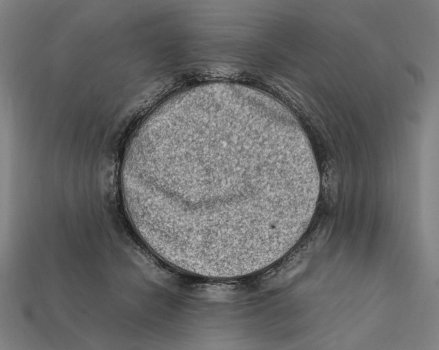 X0000112410462200909110953