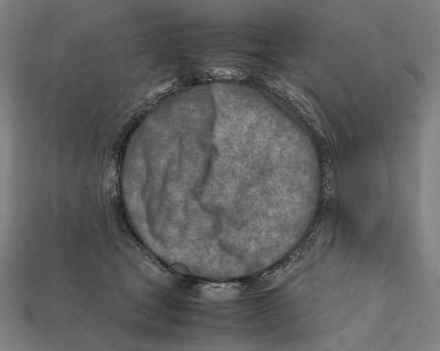 X0000112410465200909110953