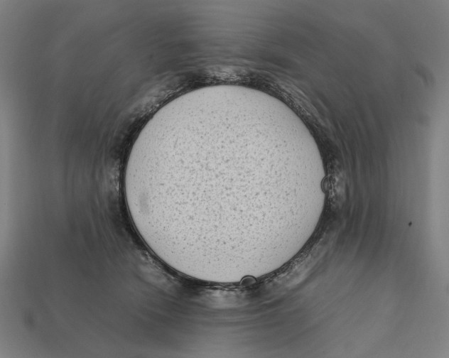 X0000112410466200909110953