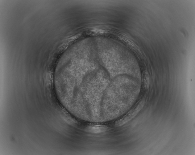 X0000112410467200909110953