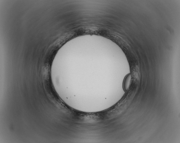 X0000112410468200909110953