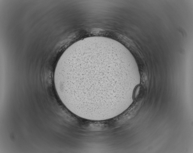 X0000112410470200909110953