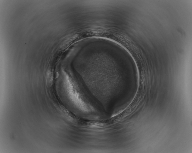 X0000112410471200909110953