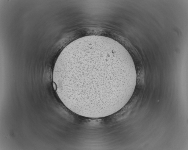 X0000112410474200909110953