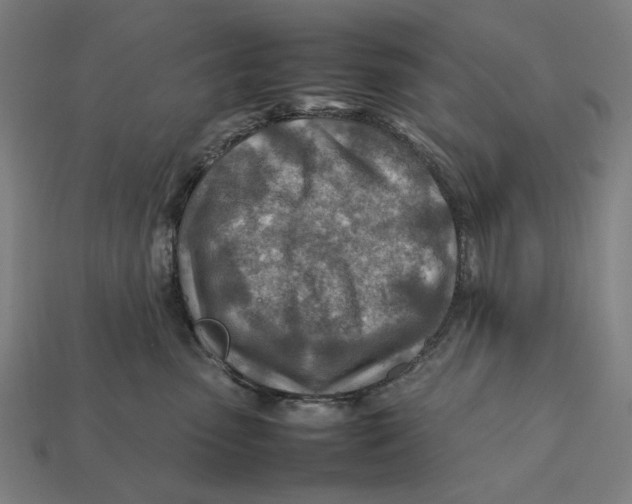 X0000112410475200909110953