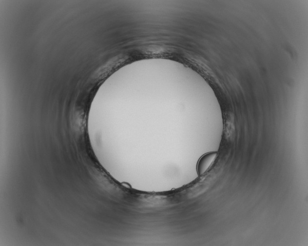 X0000112410476200909110953
