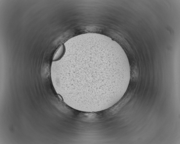X0000112410478200909110953