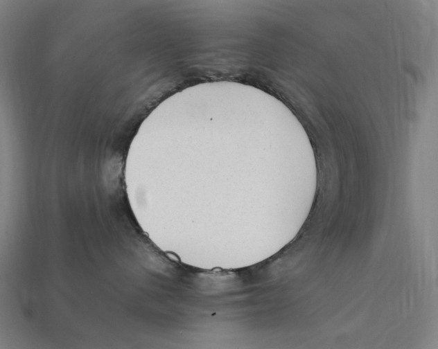 X0000112410480200909110953