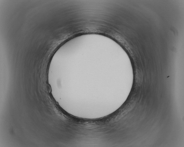 X0000112410481200909110953