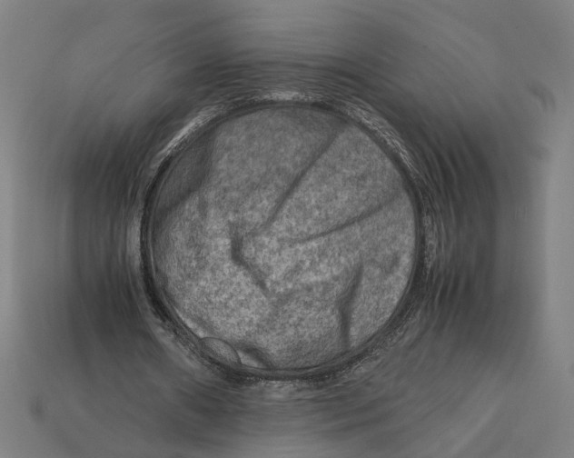 X0000112410482200909110953