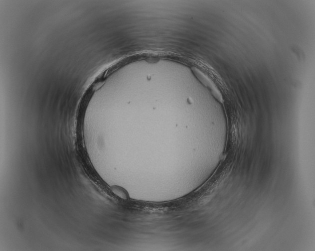X0000112410484200909110953