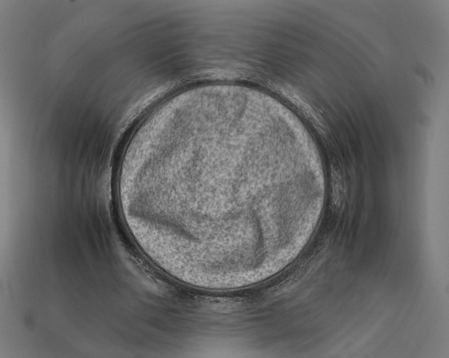 X0000112410486200909110953