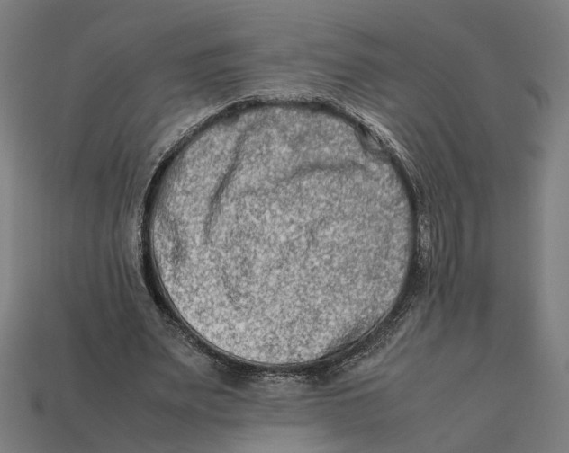 X0000112410487200909110953