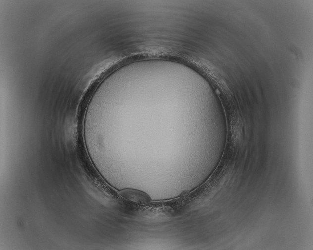 X0000112410488200909110953