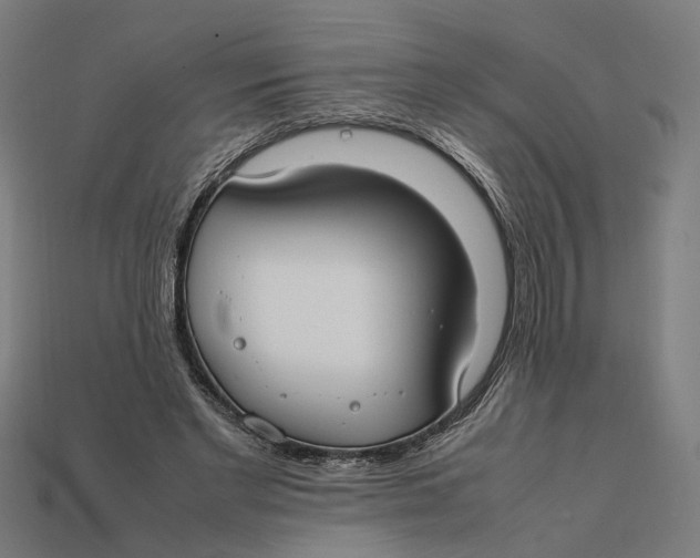 X0000112410493200909110952