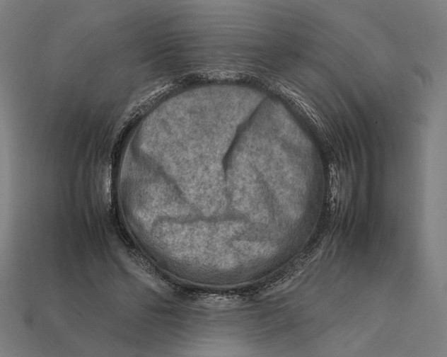 X0000112410494200909110952