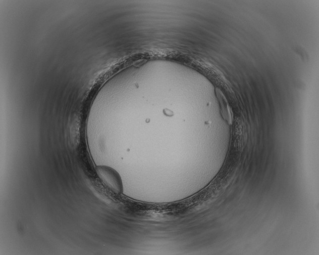 X0000112410496200909110952