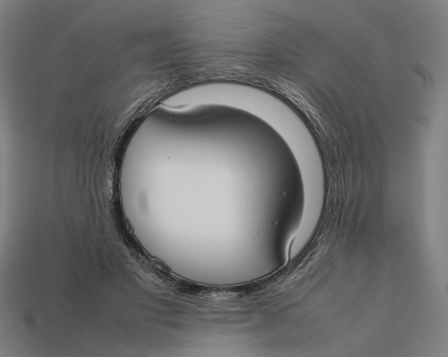X0000112410501200909110952