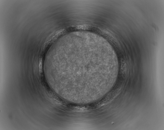 X0000112410502200909110952