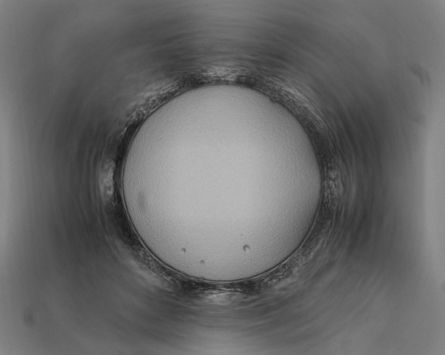 X0000112410504200909110952