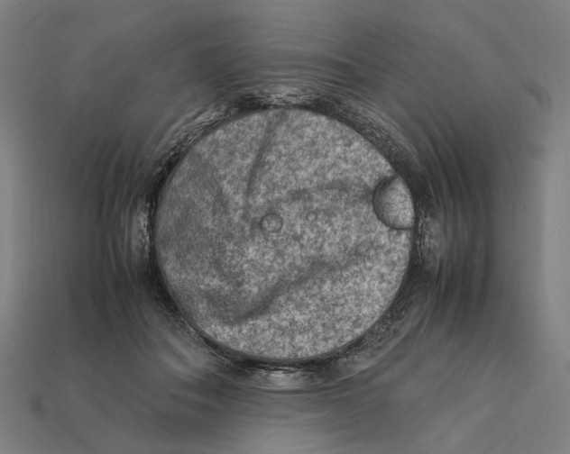 X0000112410506200909110952