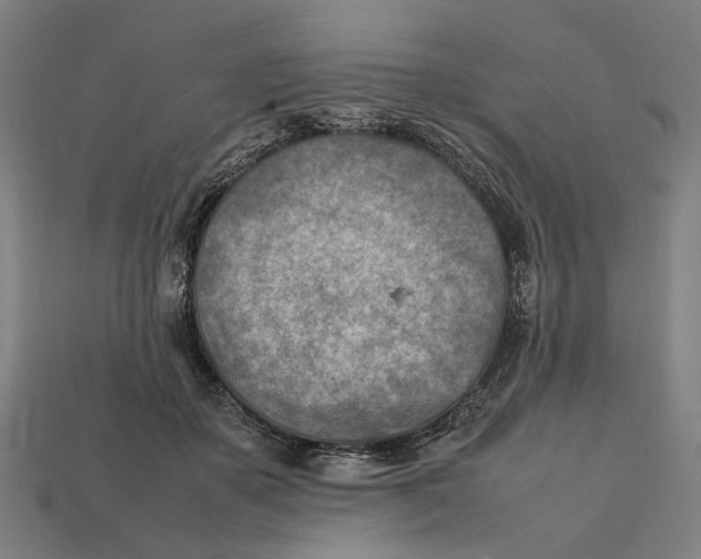 X0000112410507200909110952