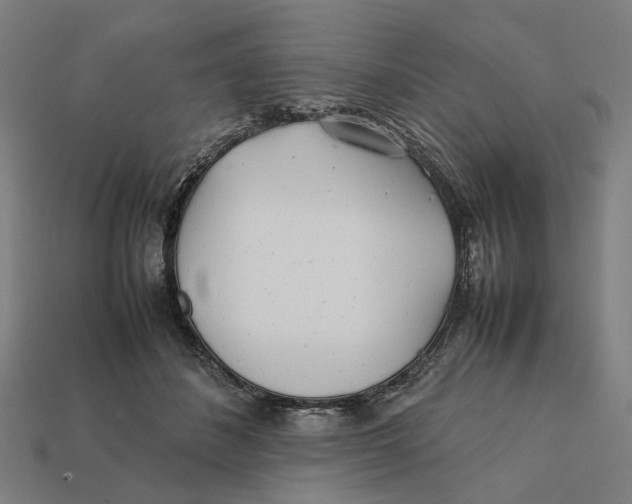 X0000112410508200909110952