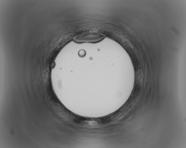 X0000112410509200909110952