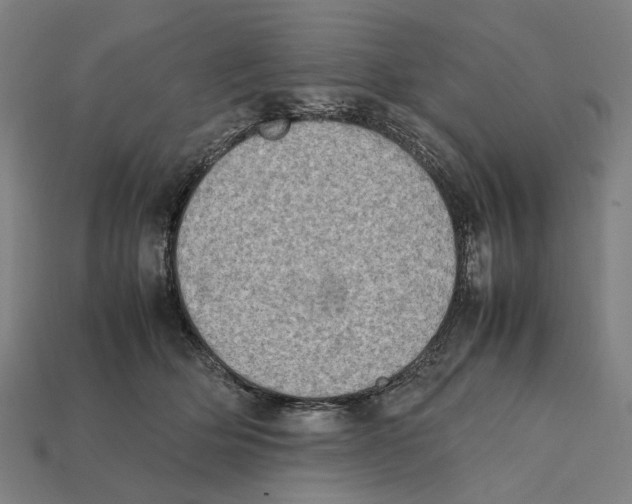 X0000112410514200909110952