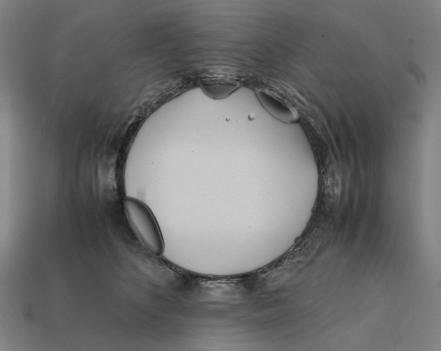 X0000112410516200909110952