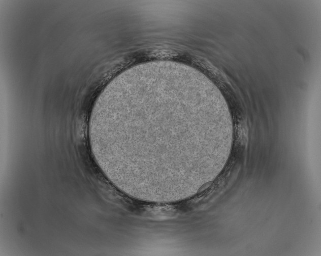 X0000112410517200909110952