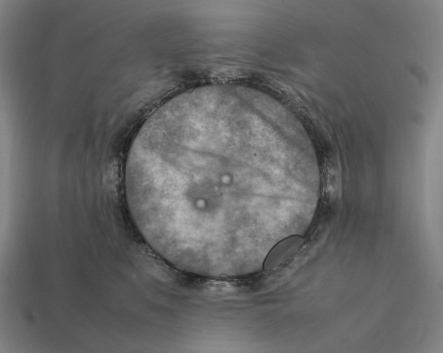 X0000112410519200909110952