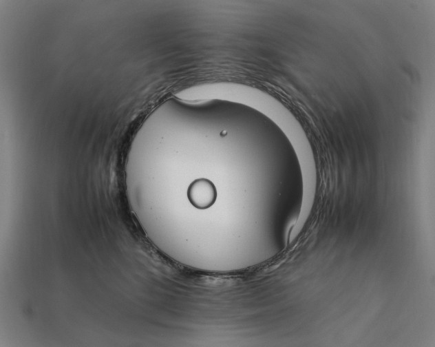 X0000112410520200909110952