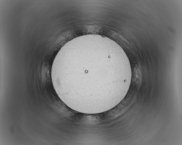 X0000112410522200909110952