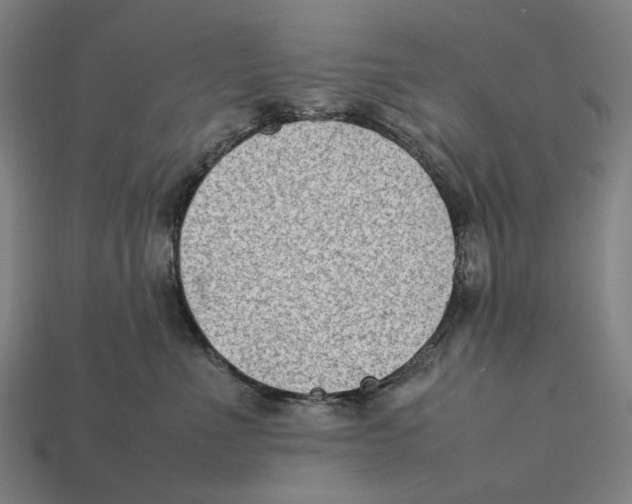 X0000112410523200909110952