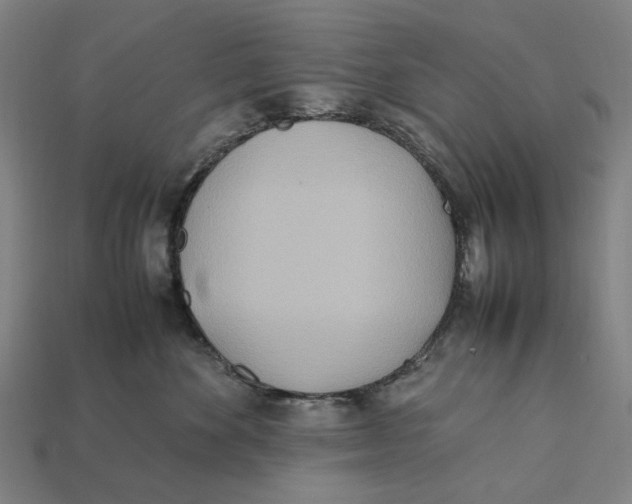 X0000112410524200909110952
