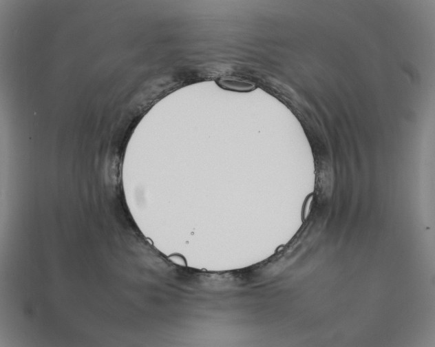 X0000112410525200909110952