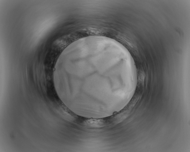 X0000112410526200909110952