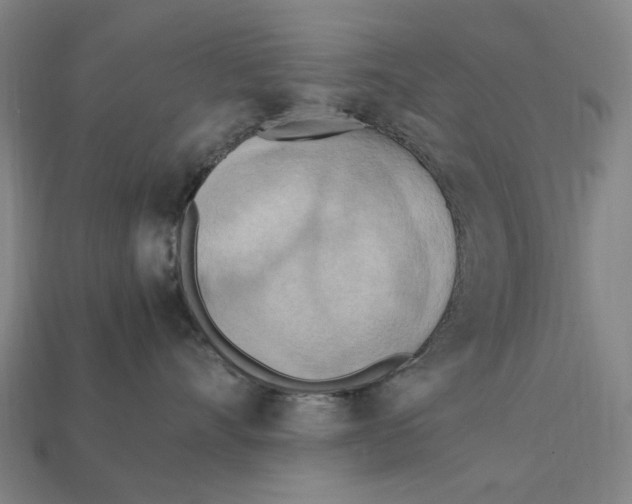 X0000112410528200909110952