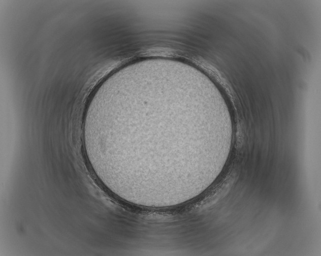 X0000112410529200909110951